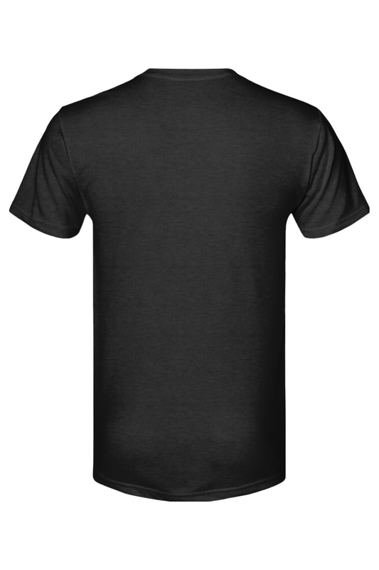 Next Level Triblend T-Shirt